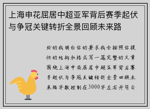 上海申花屈居中超亚军背后赛季起伏与争冠关键转折全景回顾未来路 上海申花屈居中超亚军背后赛季起伏与争冠关键转折全景回顾未来路